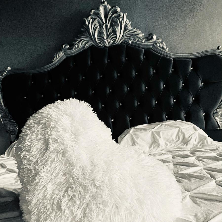 Hypolite Bed & Breakfast Avesnes-sur-Helpe ภายนอก รูปภาพ