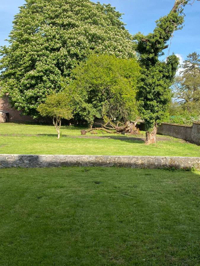 Hypolite Bed & Breakfast Avesnes-sur-Helpe ภายนอก รูปภาพ