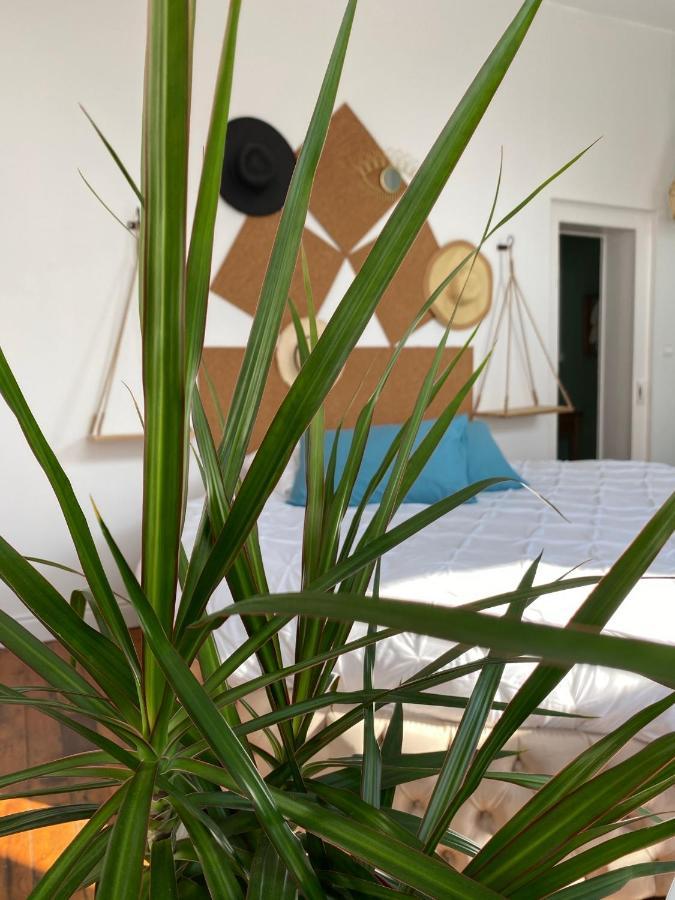 Hypolite Bed & Breakfast Avesnes-sur-Helpe ภายนอก รูปภาพ