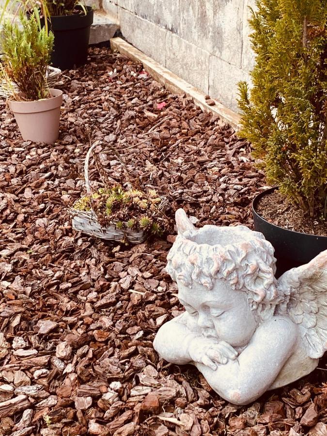 Hypolite Bed & Breakfast Avesnes-sur-Helpe ภายนอก รูปภาพ